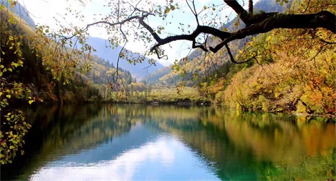 Z6·尊龙凯时「中国集团」官方网站